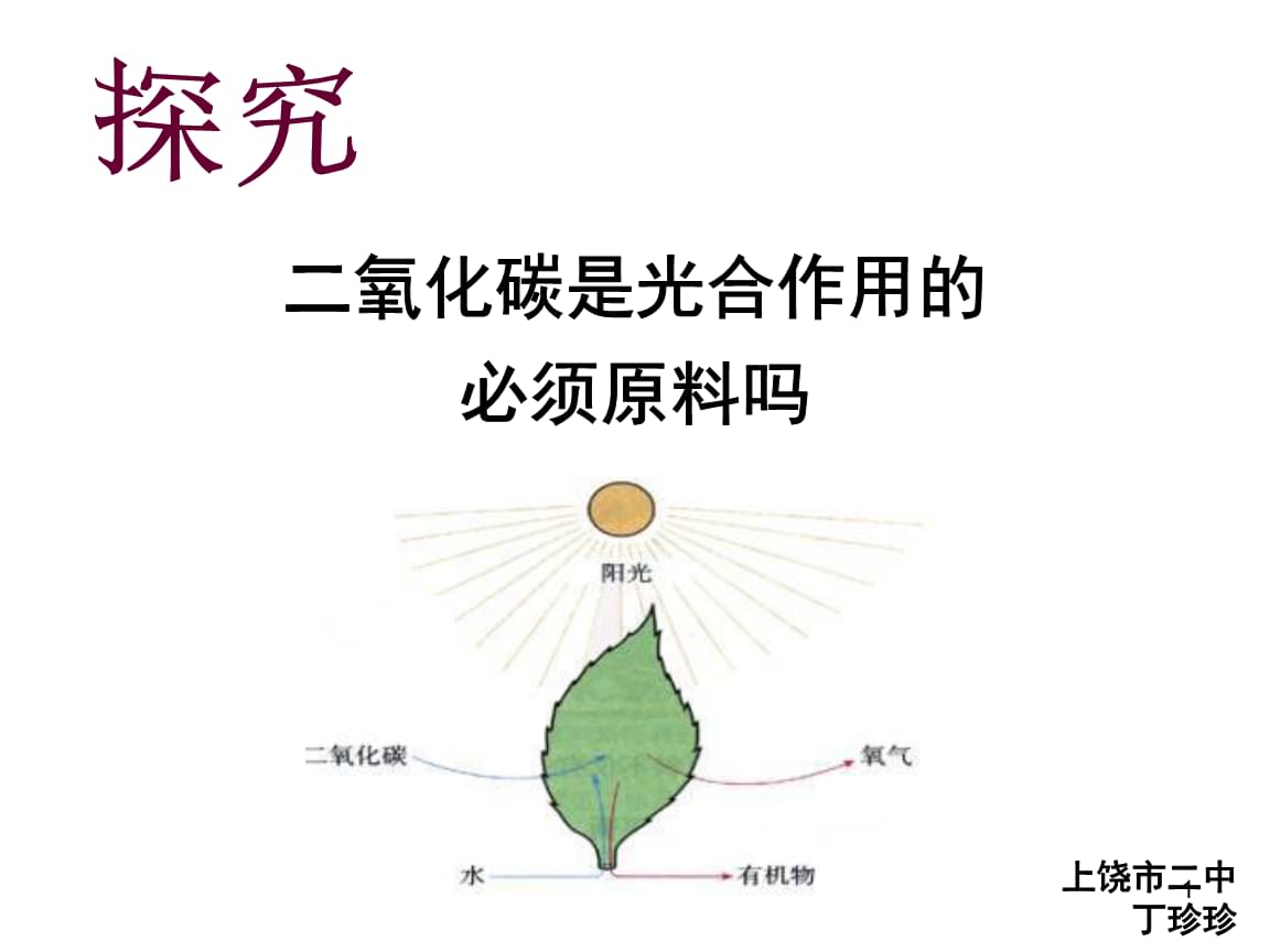 初中生物創(chuàng)新實驗說課.ppt