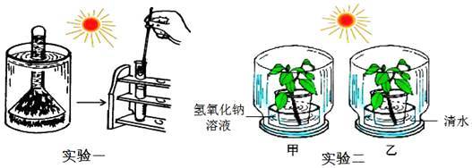 某學(xué)校生物科技活動小組的同學(xué)們對&ldquo;環(huán)境因素對光合作用強度的影響&rdquo;,設(shè)計了如下A、B兩組實驗: