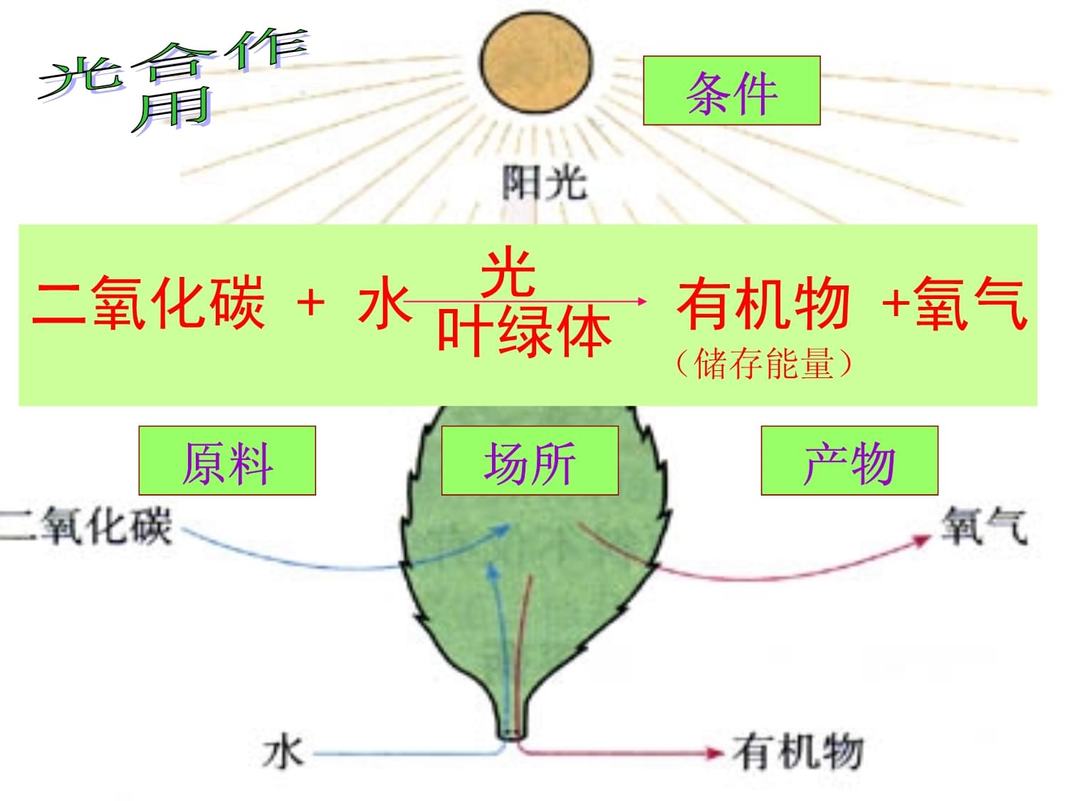 無復(fù)燃光合作用需要二氧化碳 課件詳解