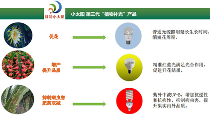 聚焦反季高效栽培，科技賦能海南火龍果產業——2020海南火龍果反季節種植管理研討會圓滿舉行