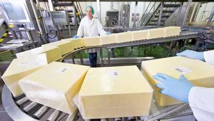 恒天然斥資2000萬擴(kuò)建工廠，全力擁抱中國奶酪市場新浪潮